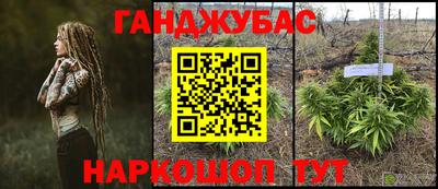 ECSTASY Гай